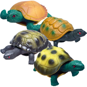 Gama Brands Rep Pals Χελώνες