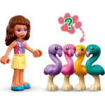 LEGO Friends Κύβος Φλαμίνγκο Της Ολίβια
