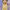 Hasbro Disney Princess Royal Shimmer Belle Doll, Κούκλα Μόδας Με Φούστα Και Αξεσουάρ